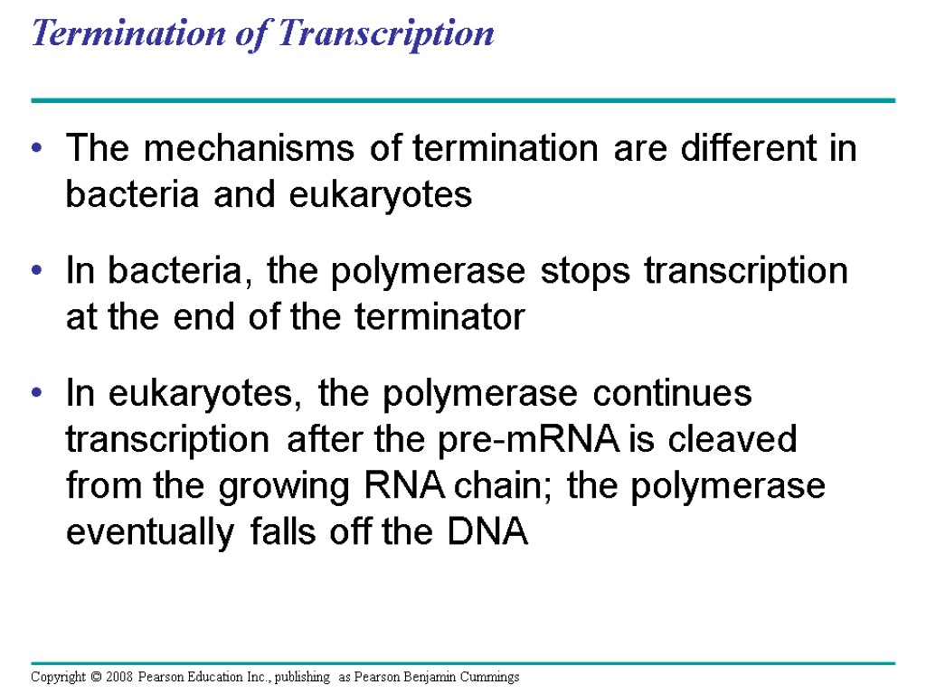 Termination of Transcription The mechanisms of termination are different in bacteria and eukaryotes In
